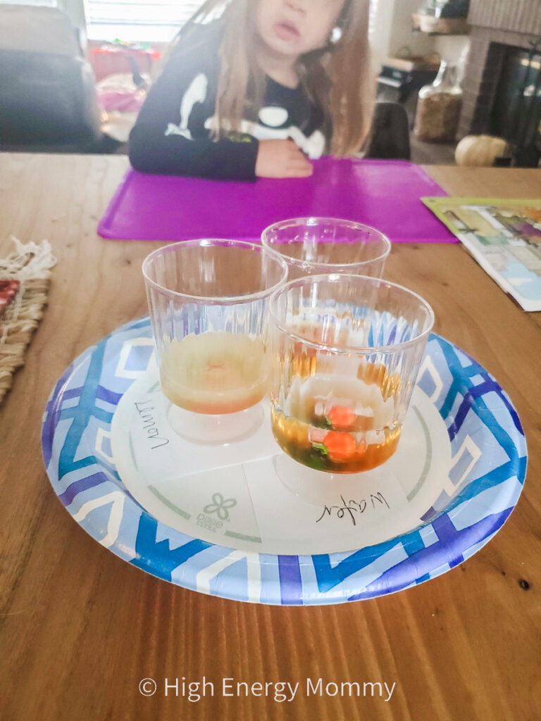 3 clear plastic cups on a blue and white paper plate with liquid and a candy pumpkin in each cup as a science experiment
